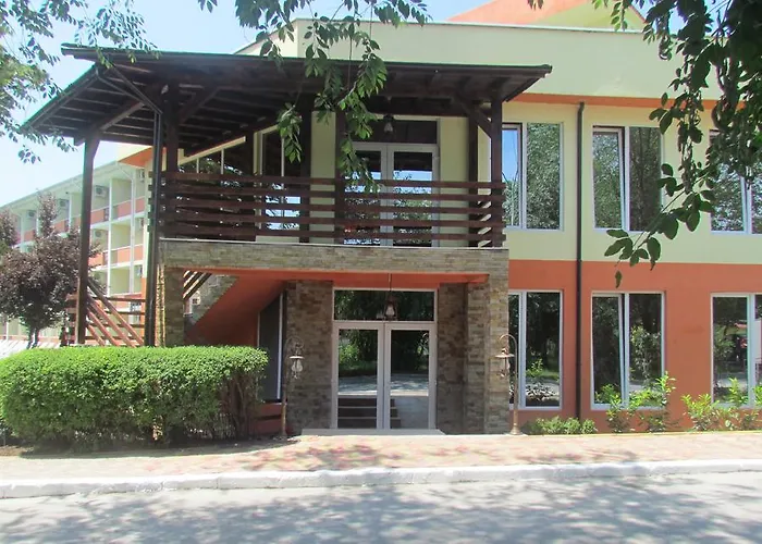 Apollo אפורי נורד